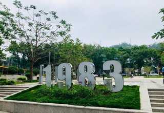个人网站建设大良网站建设